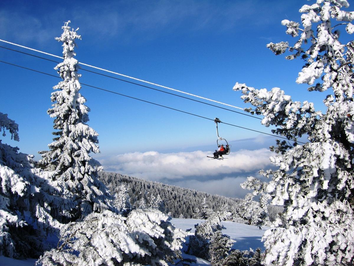 Bungalows Ski Pista Govedarci 外观 照片